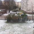 20161208_092237