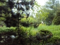 DSC06766