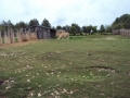 DSC06771