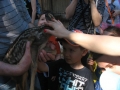 dzien_mamy2014_ptasiazyl11