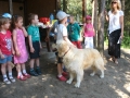 dzien_mamy2014_ptasiazyl22