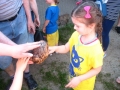 dzien_mamy2014_ptasiazyl7