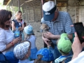 dzien_mamy2014_ptasiazyl8