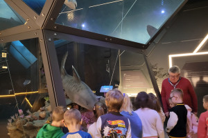 Pszczółki w Centrum Geoedukacji