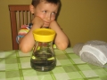 nadlesnictwo3