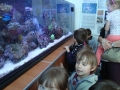 planetarium_ujk24