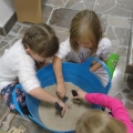 IMG_20161122_105714990