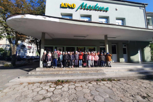 Sówki i Żuczki w Kinie