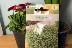 Oczekiwanie na wiosnę w grupie „Sówek”.