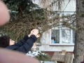 DSC03195