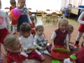 DSCF3513