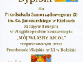 dypl389