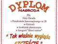 nasze_sucesy49