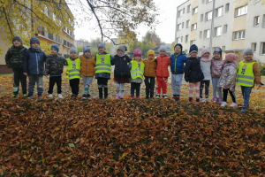 Jesienne spacery- grupa Biedronki