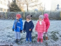 zwiastun zimy 12