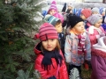 zwiastun zimy 13