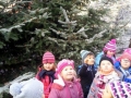 zwiastun zimy 14