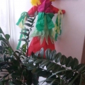 20170320_101004