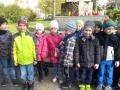znicz8