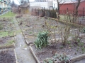 DSC07401