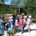 grupa 2 (6)