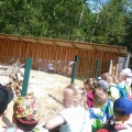 grupa 3 (17)