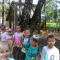 grupa 3 (5)