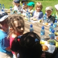 grupa 5 (12)
