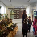 IMG_20161108_094528476_HDR