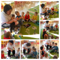 20231109_184247-COLLAGE