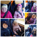 InShot_20260311_161333579
