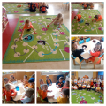 zdj-4
